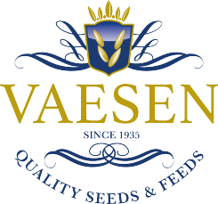 Vaesen