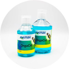 AviMax Cure & Therapy