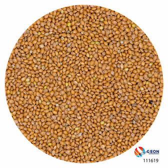 Millet geel 20 kg