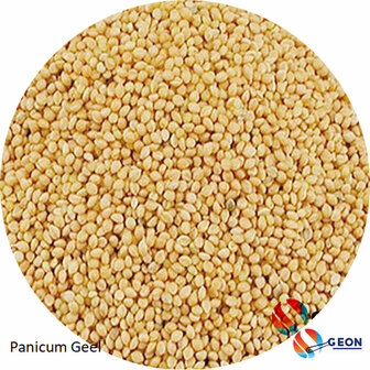 Panicum geel / Senegal gierst 20 kg