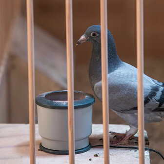 Mineral Heating Bowl voor duiven en pluimvee