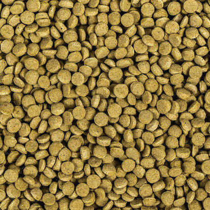 Wisbroek Parrot Low Fat Daily