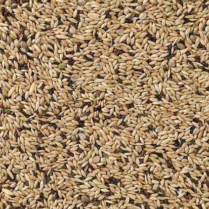 Deli Nature dieet kanarie nummer 65