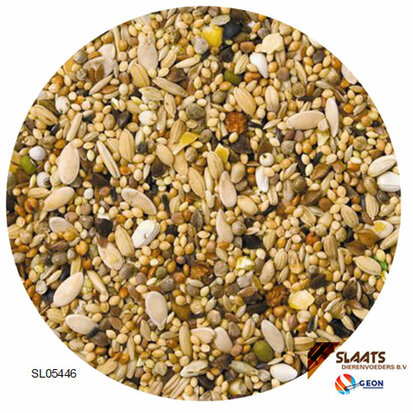 GEON-SL05446