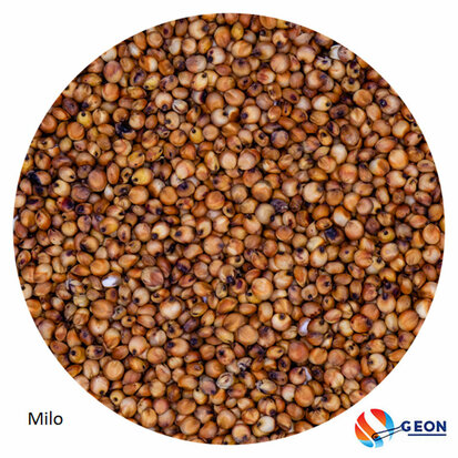 Milo-Rood 5 kg.