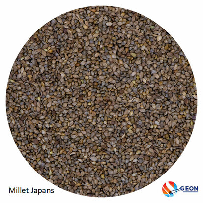 Millet Japans 5 kg.