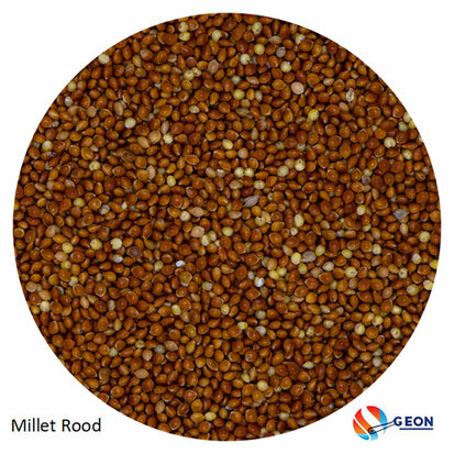Milletzaad Rood 5 kg.