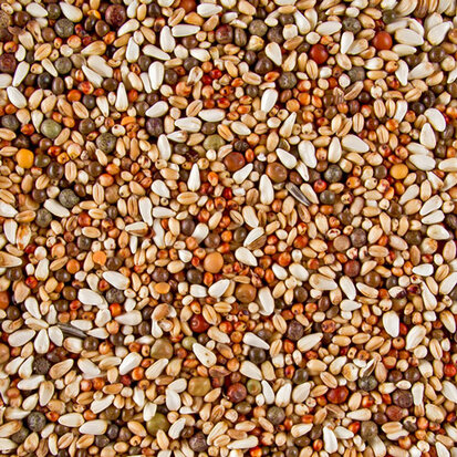 Deli Nature DoviX kortbek 20kg