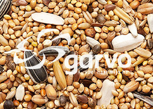 Garvo grote parkietenzaad 20kg
