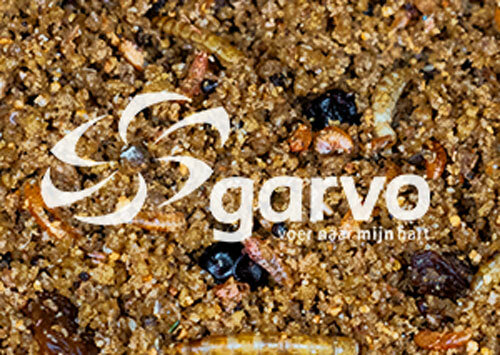 Garvo solution universeelvoer 12 kg