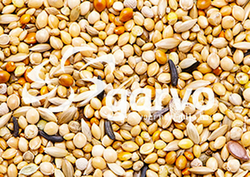 Garvo tropical gold 20 kg