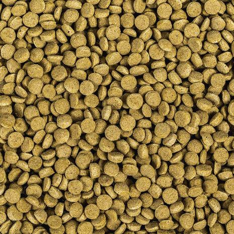 Wisbroek Parrot Low Fat Daily