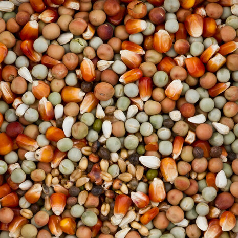 Deli Nature DoviX tortelduif 20kg