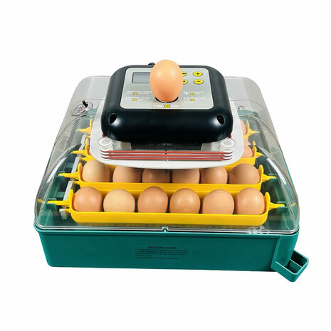 Broedmachine voor 24 eieren