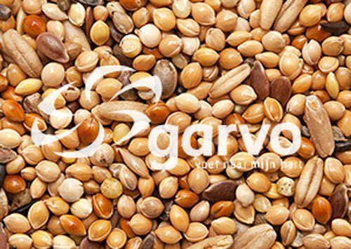 Garvo parkiet extra 20kg