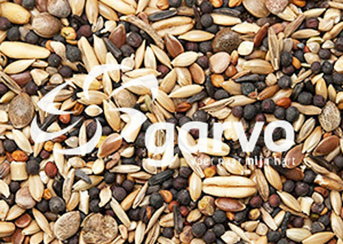 Garvo wildzangzaad 20 kg