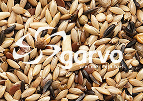 Garvo kanarie zonder raap 20 kg