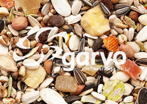 Garvo papegaai fruit en noot 15kg