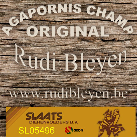 Agapornis Champ Original ES Rudi Bleyen 20 kg.