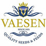 Vaesen