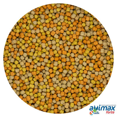 AviMax Forte Pellets Lori FruitBlend