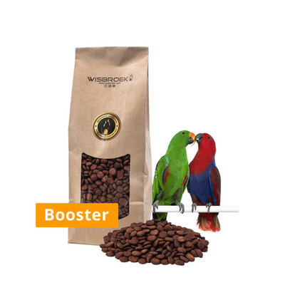 Wisbroek Parrot Fruit Blend Booster