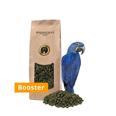 Wisbroek Parrot Nut Blend Booster