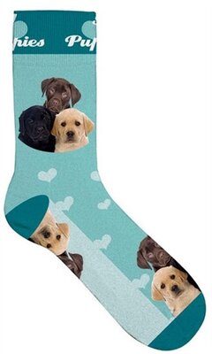Plenty gifts sokken puppies blauw