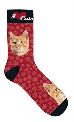 Plenty gits sokken oranje katten rood