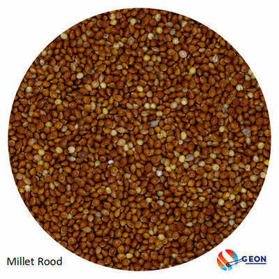 Milletzaad Rood 5 kg.