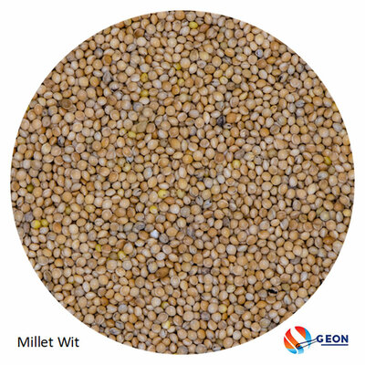 Milletzaad wit 5 kg.