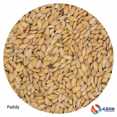 Paddy rijst ongepeld 20 kg.