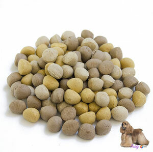 Jack Doggies -  jack jackers 10 kg.